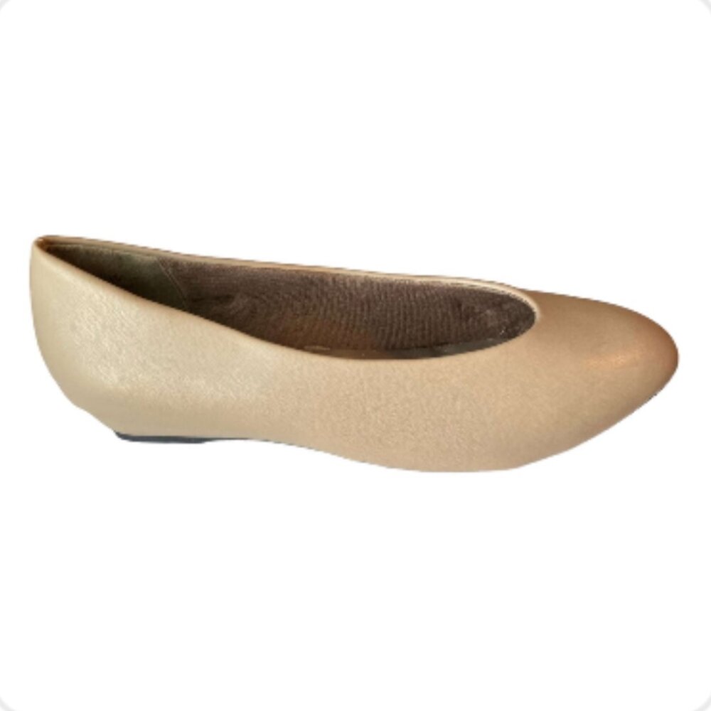Angel Steps Shoes (1294-4)